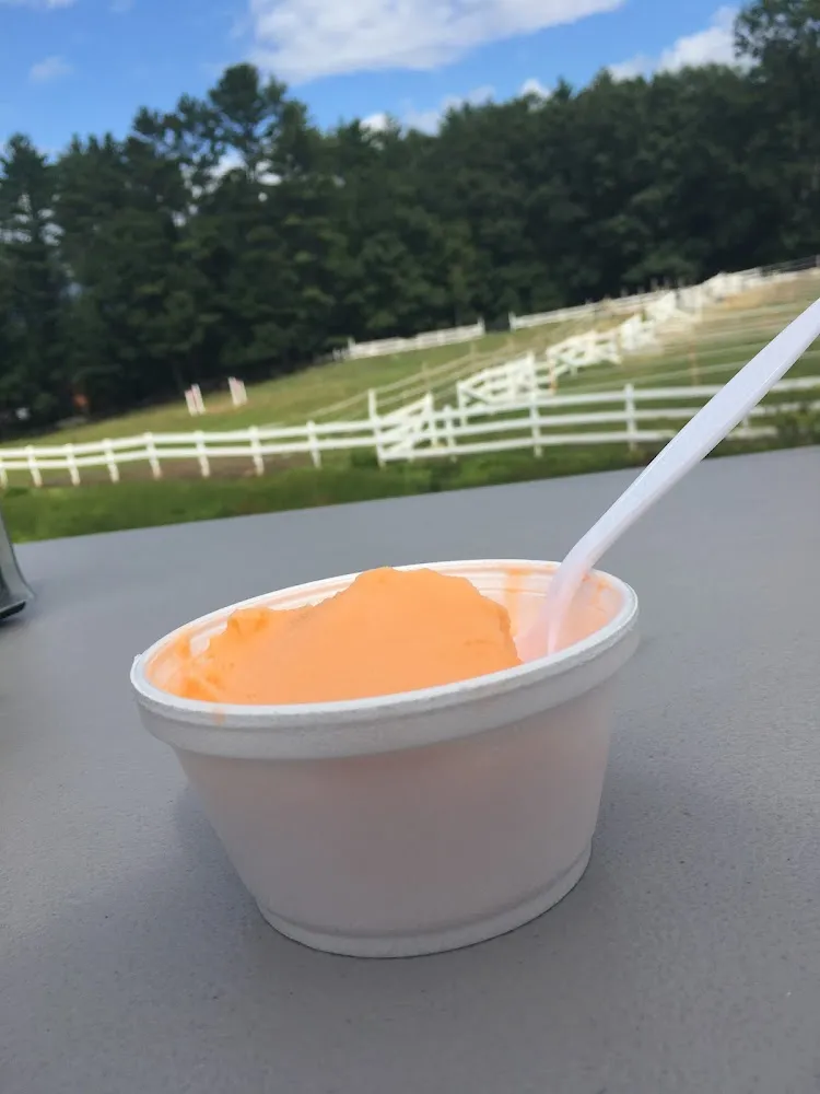 Orange Sorbet