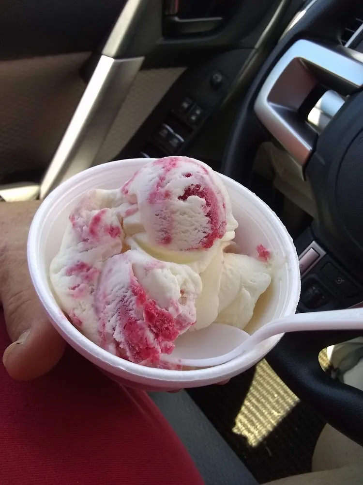Raspberry Swirl No Sugar